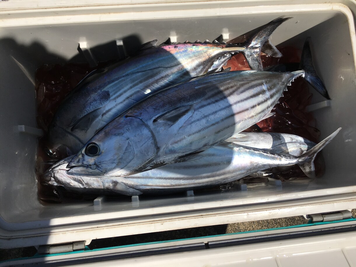 実績あり！釣り針の結び方、趣味漁師が直伝します 漁師の世界は企業秘密。だからこそ価値がある。 イメージ8