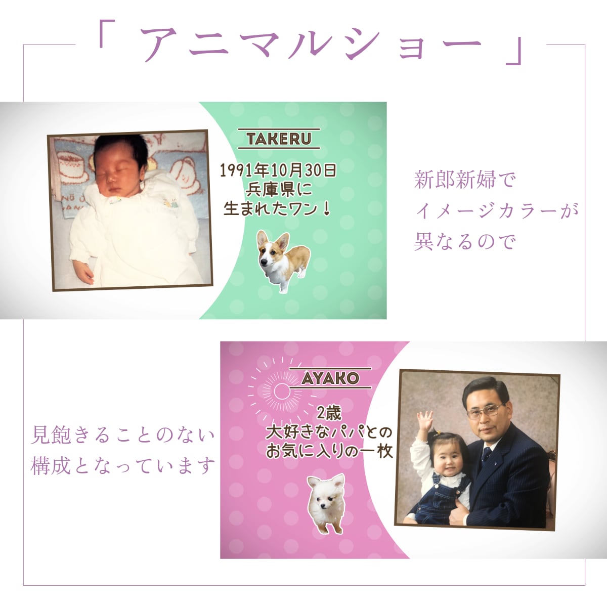 プロフィール・アニマルショーはペットが大活躍します 22000組のムービー制作の実績で高クオリティ・低コスト イメージ3