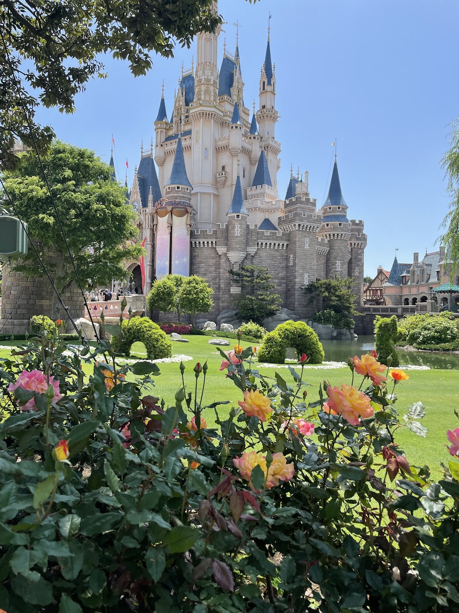 ディズニーランド・シーのご相談、なんでも受けます ♡月2ディズニー♡元年パス持ち♡ディズニーの疑問を解決！ イメージ5