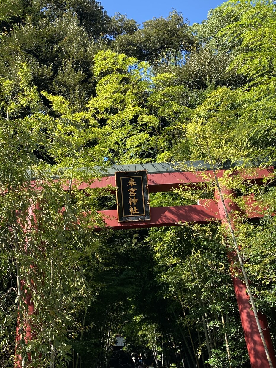 愚痴聞きます 恋愛、家庭の愚痴、悩みを聞きます。お気軽にお問合せ下さい♪ イメージ2