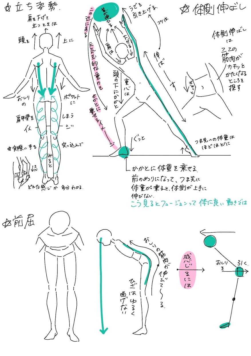 身体の操作に特化した挿し絵を描きます ★体操･セラピストさん向け教本の挿し絵などにお使い頂けます イメージ1