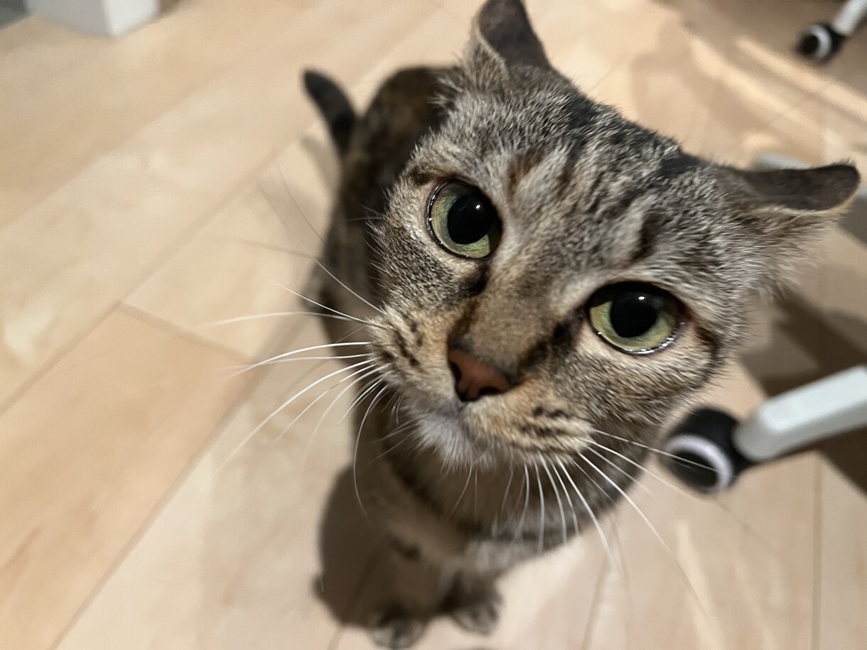 女性の方向けです。お話し聞きます 一人で抱えこんで本当の闇に落ちる前に イメージ8