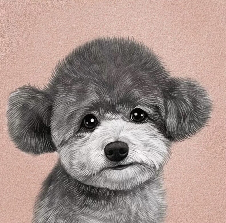 可愛いペットの写真を似顔絵に実写します 似顔絵/ペット/犬/猫/ギフト/グッズ/年賀状/イラスト イメージ7