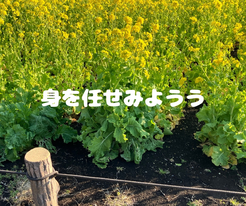 1分からOK!メンタル疾患当事者が相談に乗ります 選べるチャット相談サービスで気軽に相談 イメージ8