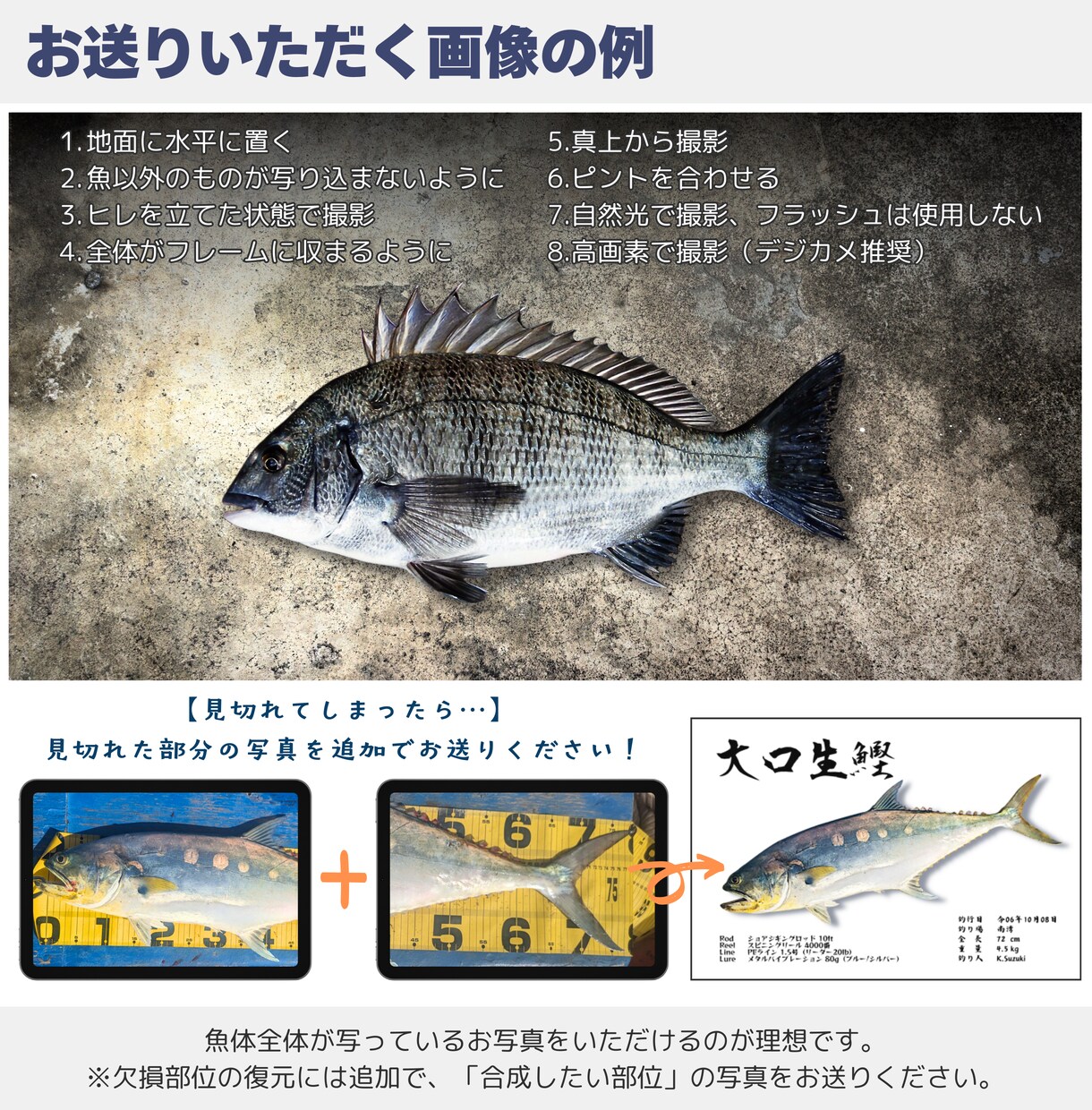デジタル魚拓：リアル/墨/カラー/水彩から選べます 手刷り魚拓のような風合いで、一味違うデザインをお求めの方へ イメージ9