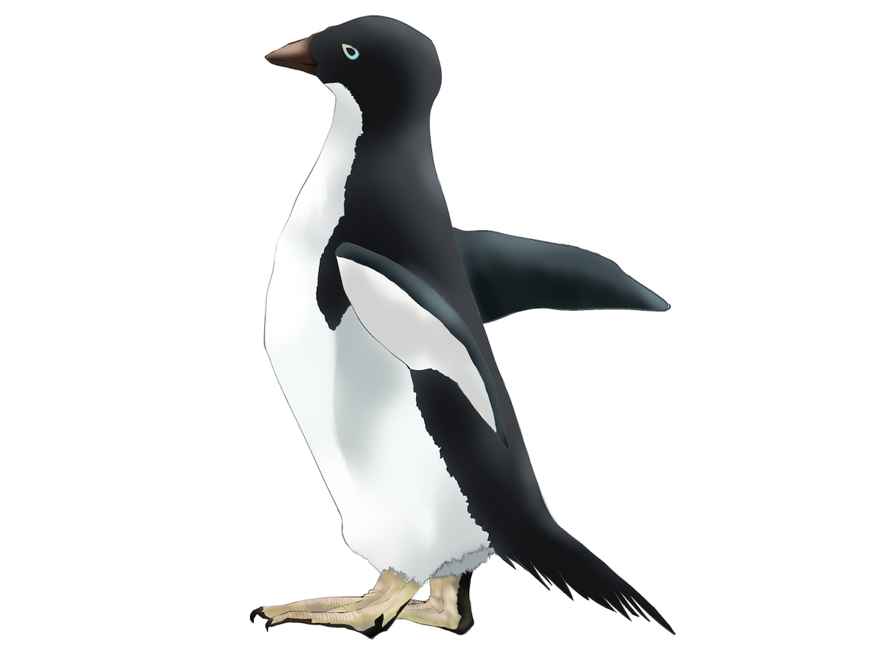 動物イラスト作成します リアルな精密画からデフォルメまで イメージ6