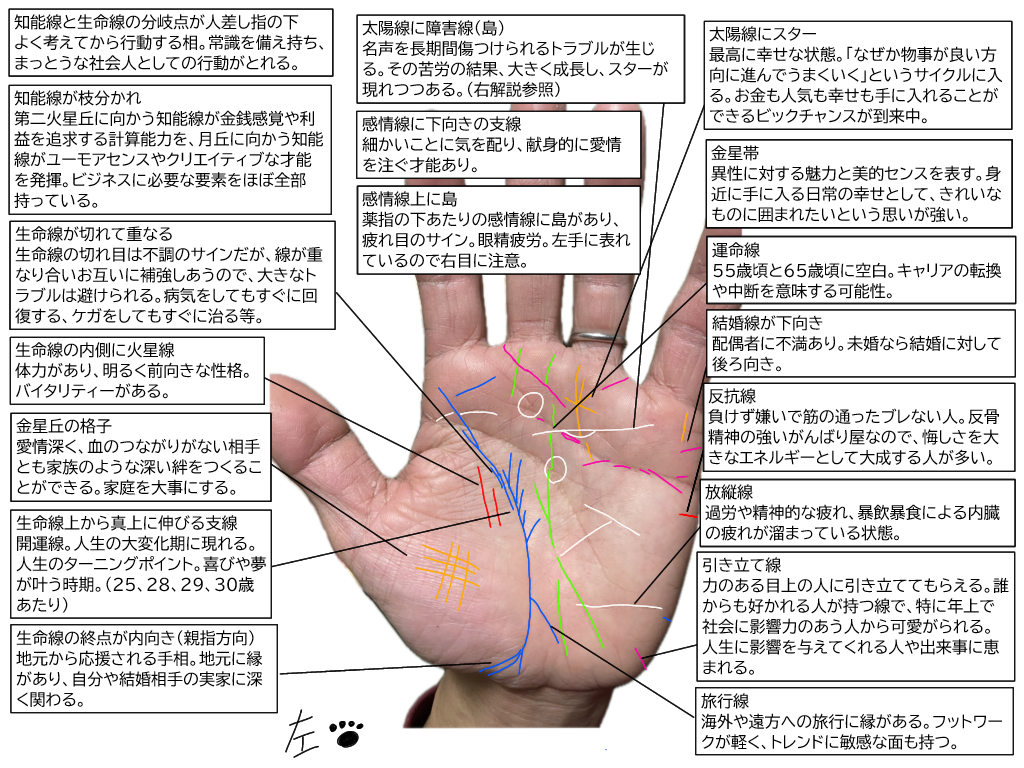 5,000円で隅々まで手相をみます ボリュームたっぷりの画像解説付きです。 イメージ1