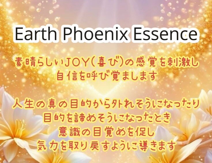 ポジティブに自分をコントロール♪パワー伝授します アースフェニックスエッセンスのアチューメント♡ イメージ1