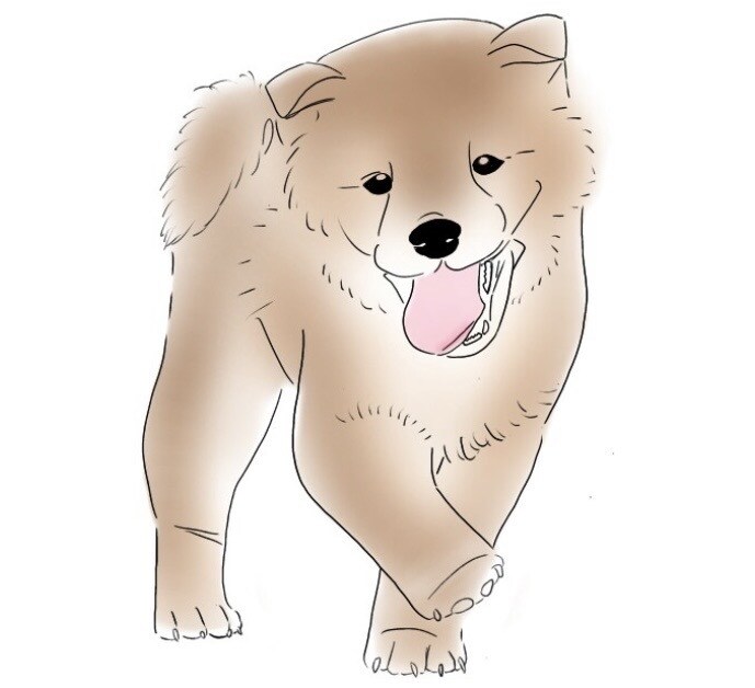 おしゃれな線画、ふんわり線画イラスト作成します 線画イラスト　オーダー作成します イメージ7