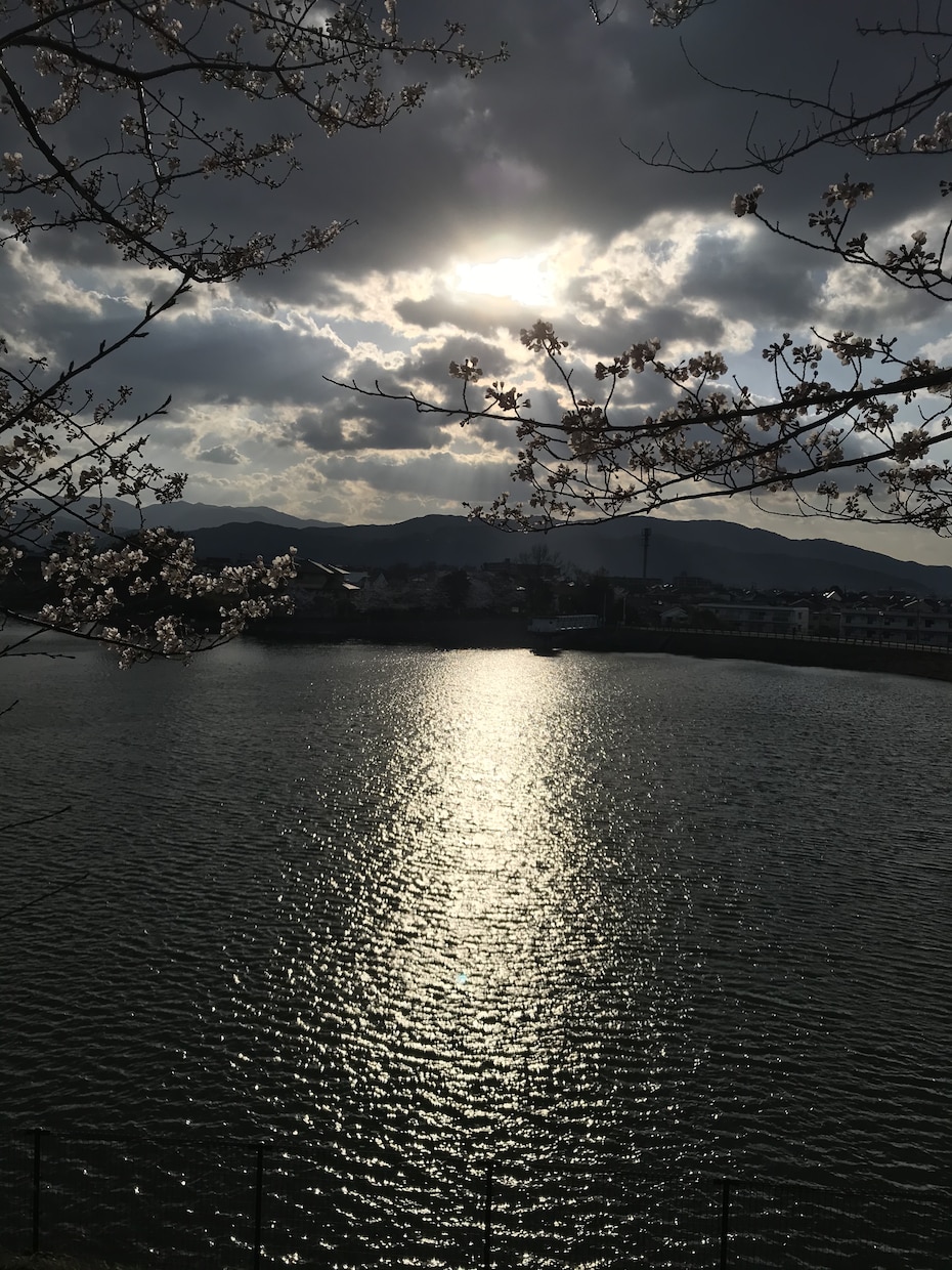 ADHDで悩んでいる方の相談にのります ADHDで悩む人をサポートします イメージ1