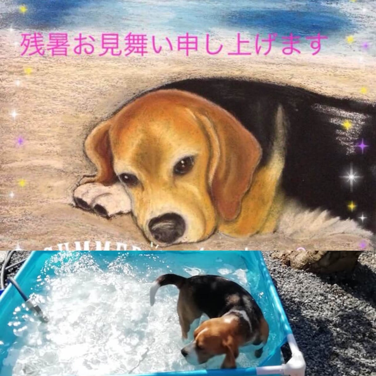 愛犬愛猫の絵をオリジナルで描かせて頂いております リアルとカラフルと色々お選び頂けます❗基本A4sizeです イメージ4
