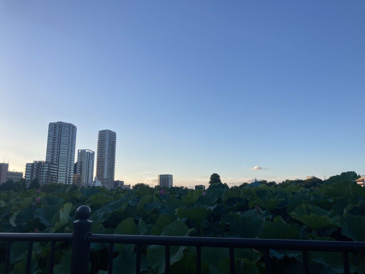 ワンルームマンションで困っている人、話聞きます 私も最近まで5000万円借金がありました。お気持ちわかります イメージ1