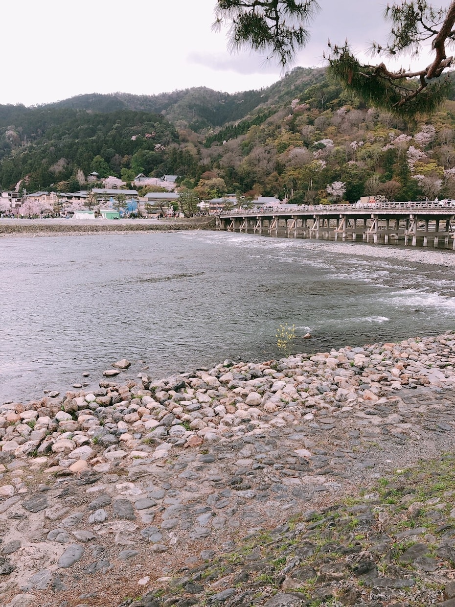 京都観光のプランニングを立てます 京都生まれ京都育ち京都大手旅館勤務♪京都のことならお任せ♪ イメージ2