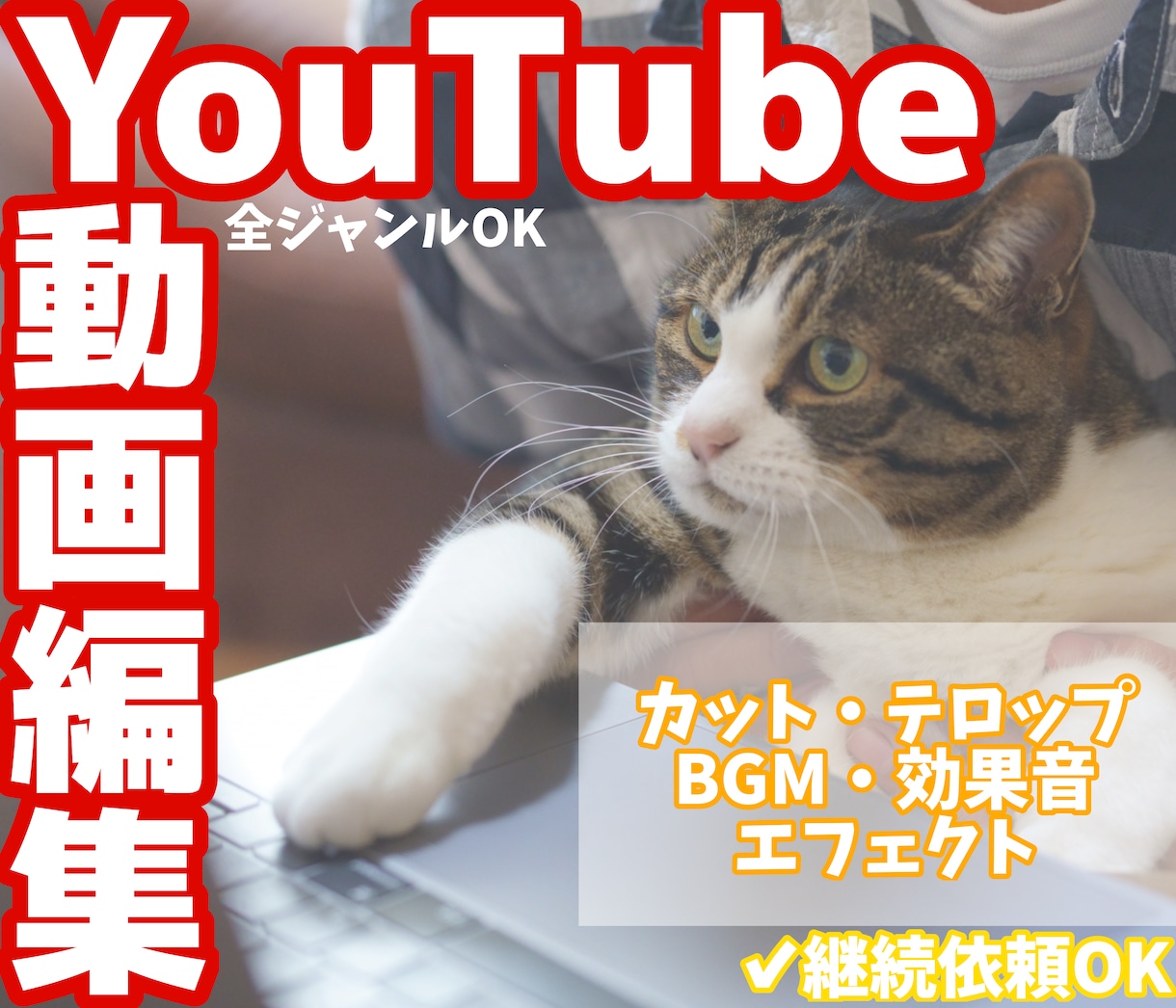 YouTube向けの動画を編集します ポップなYouTube動画を代わりに編集します！ イメージ1