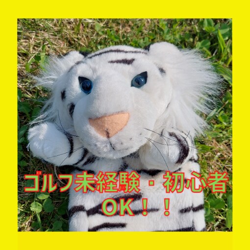 リピーター続出！のレッスンをココナラで開始致します ✨スコア100以上の方向け動画添削レッスンです✨ イメージ7