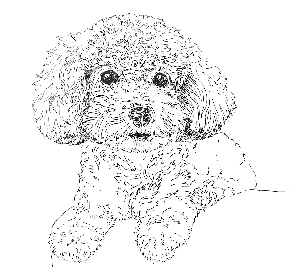 ペン画であなたのペットの似顔絵を描きます 大切な家族（動物）との思い出をカタチにしませんか？ イメージ2