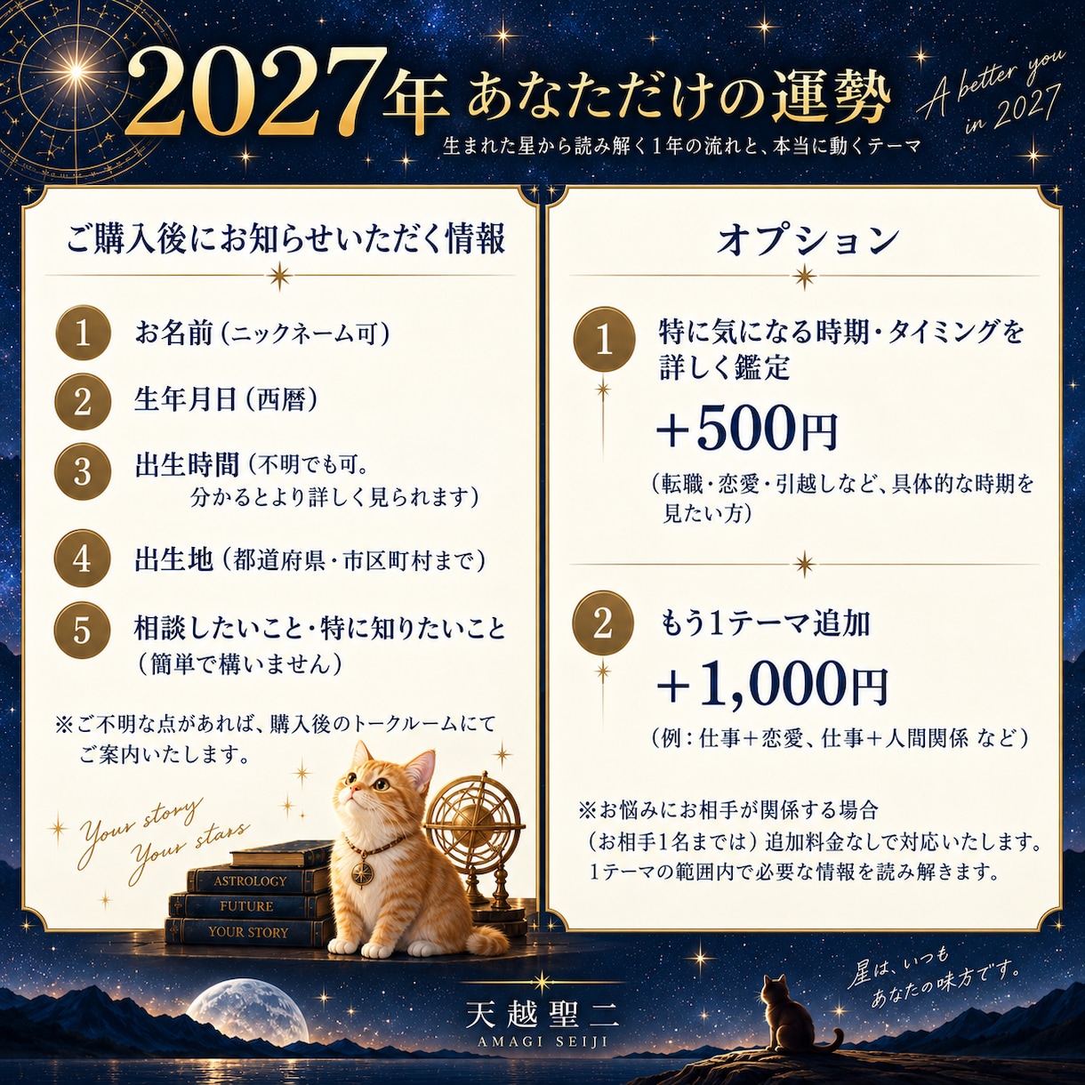 2027年、あなただけの運勢を詳しく読み解きます 12星座の一般論ではなく、あなた自身の出生図で一年を読みます イメージ4