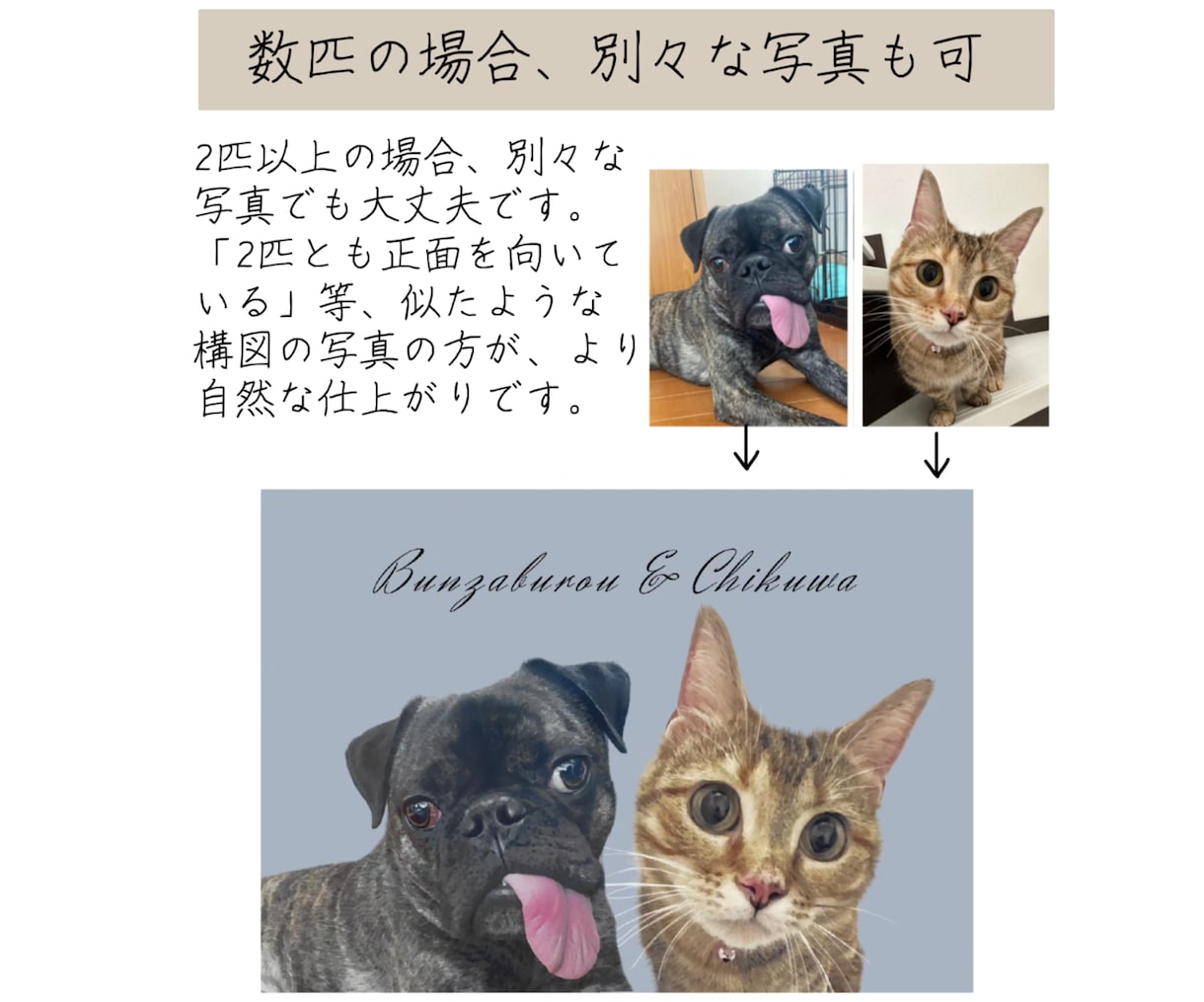 ペット似顔絵｜額縁付可｜お急ぎ可｜イラストにします 猫・犬・爬虫類等リアルでおしゃれなペット似顔絵｜ラッピング可 イメージ10