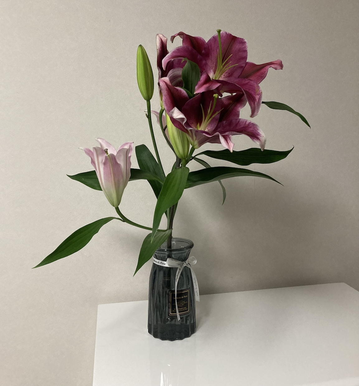 あなたのお話相手になります 寂しい時間をおしゃべりして一緒に楽しみましょう！ イメージ2