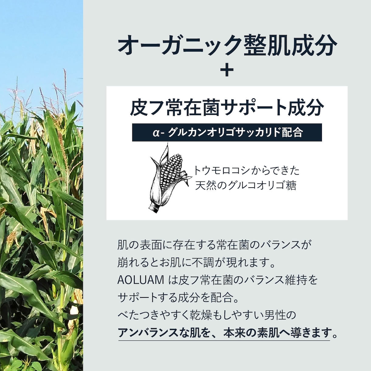 Amazon/楽天商品画像デザイン制作します 女性ウケが良い！シンプルデザインで商品をステキに見せます！ イメージ10