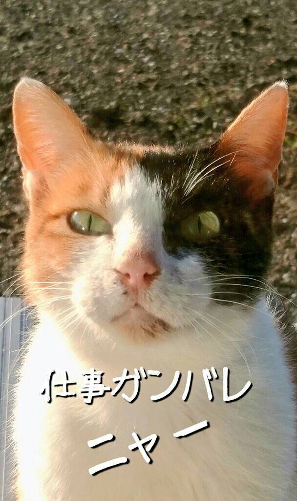 あなたの心の声お聞きします 心の荷物を私に預けて一息つきませんか？ イメージ1