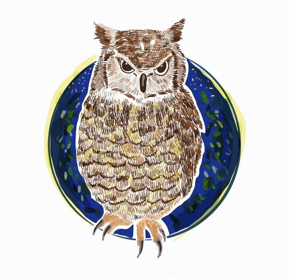 ポップ・リアルなオシャレイラスト承ります 可愛くてちょっと個性的なイラストであなたの世界観を演出 イメージ5