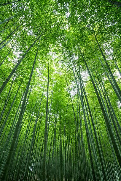 霊感・霊視・霊聴・素早くお答えします 複雑愛、復縁、気持ち、相性、視えたまま具体的にお伝えします イメージ10