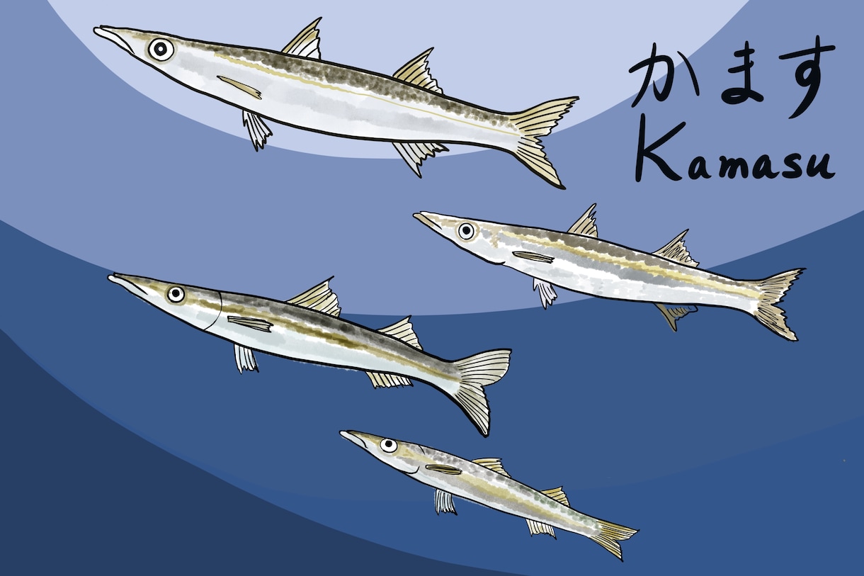魚や魚介類の爽やかなイラストを描きます 爽やかな水彩タッチの海の生物のイラストいかがですか。 イメージ3