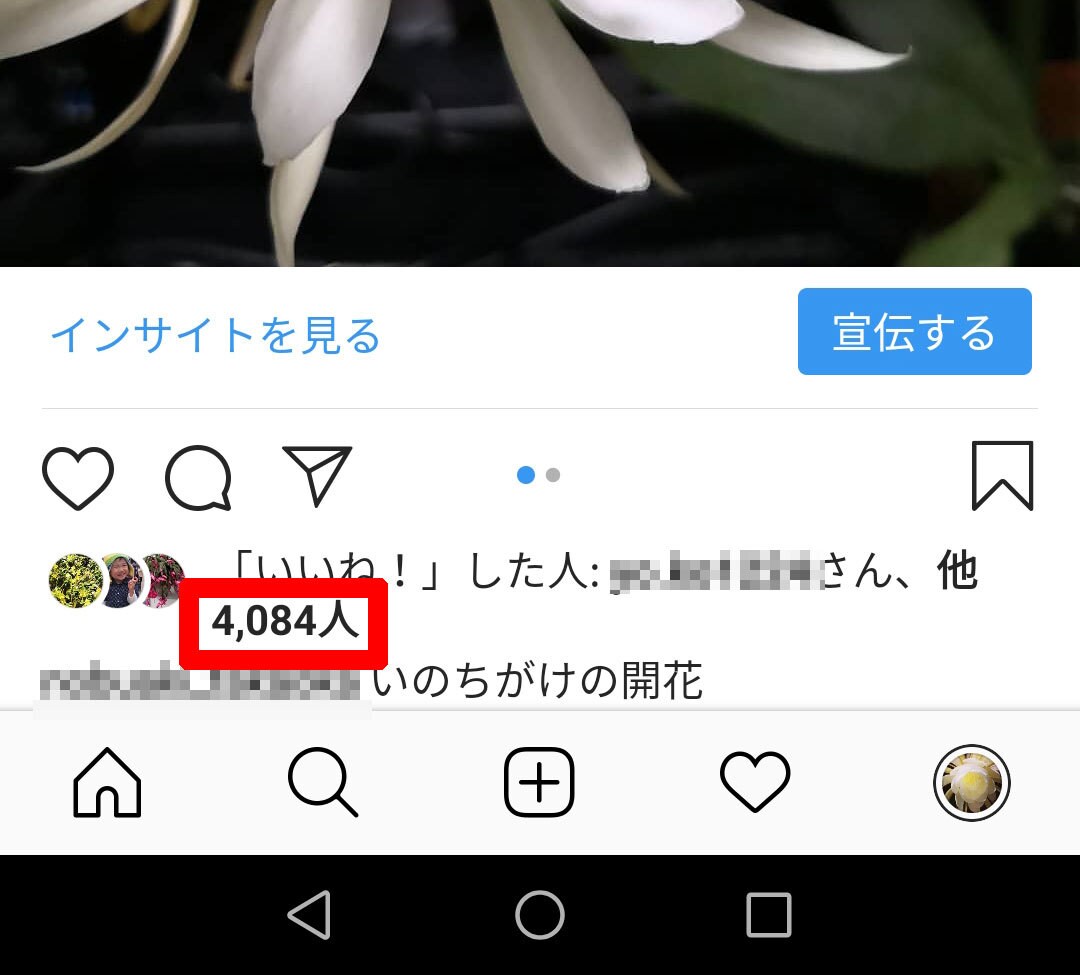 インスタのフォロワーアップ法を教えます フォロワーが増えて「いいね！」も増える、フォロー外しされ難い イメージ2