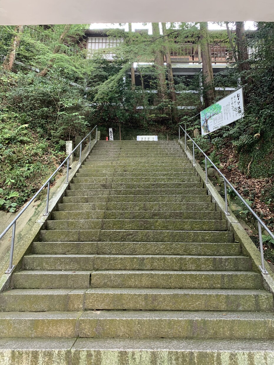 お相手の気持ちや恋愛運全般占います 仕事のお悩み、健康運、恋愛運占います イメージ2