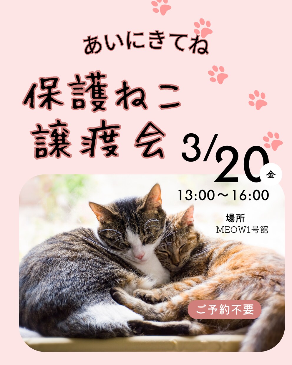 猫instagramの投稿や広告画像制作します ねこに特化！イメージに寄り添い丁寧にデザイン制作いたします！ イメージ3