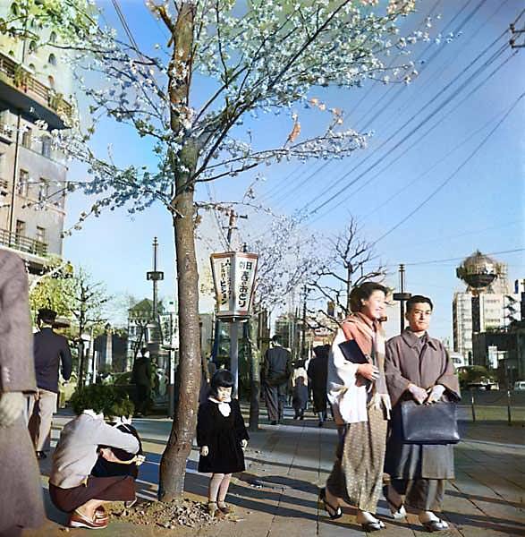 モノクロ写真をカラー写真にします 想い出のモノクロ写真をカラーで蘇らせます。 イメージ6