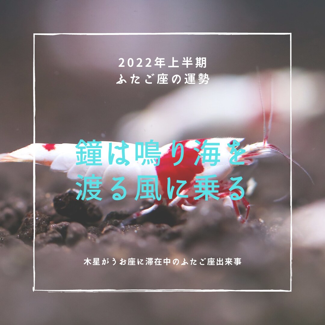 西洋占星術による2022年上半期の運勢をお渡します 時間のないあなたに、ブログやSNSなどに使用可能な運勢鑑定 イメージ4
