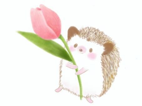 悩み、不安、イラモヤ、私が聴きます HSP 2児子育て中。しんどい思い、聴かせてください！ イメージ1