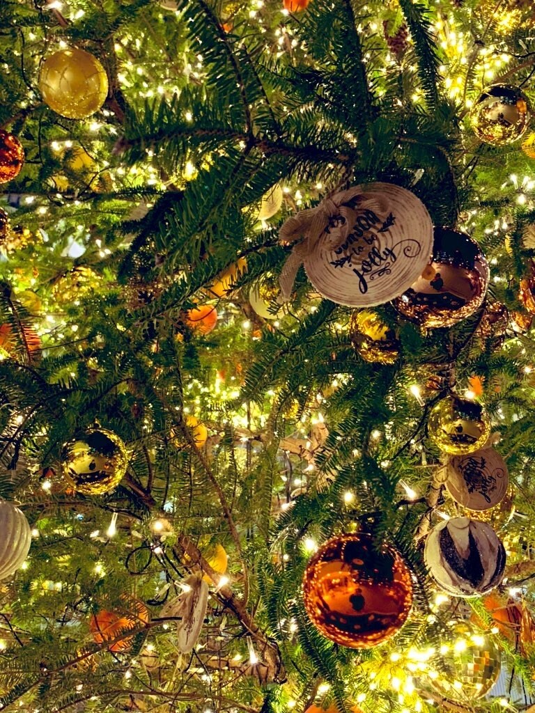 スマホで写真を撮ってます 趣味でスマホで写真を撮ってます！！ イメージ2