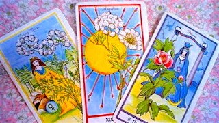お相手のお気持ちと未来を的確にお伝えします 彼から連絡がない　不倫　年の差恋愛　子育て　職場の人間関係 イメージ3