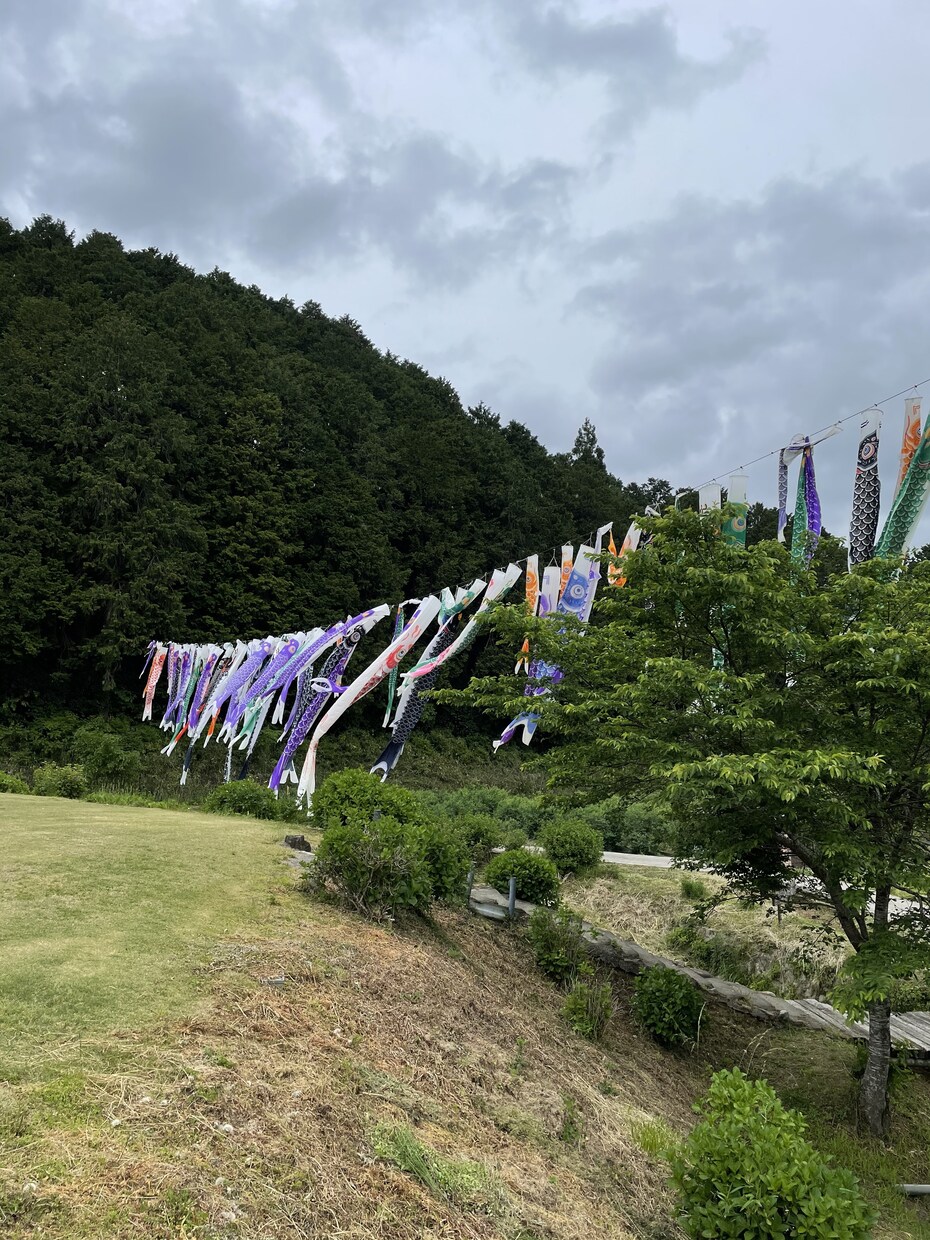 飲食で働いてみたい！メリット、デメリット教えます 一度働いてみたいが内容がわからない人にオススメです！ イメージ1