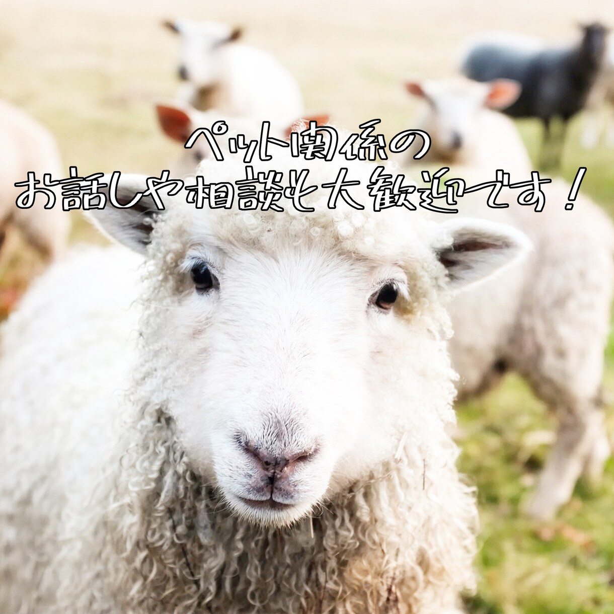 気軽にお話ししませんか？お話し相手になります 20代専業主婦があなたのお話しを聞きます イメージ3