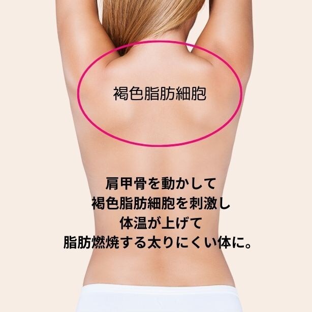 マンツーマンでゆっくりヨガレッスンをします 心と身体をゆるめる ゆったり時間～ イメージ6