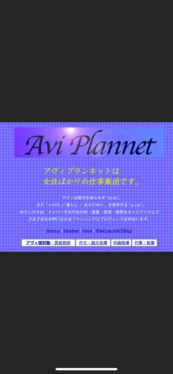 論文・レポート・広告…あらゆる文章制作を手伝います 企画構成、執筆、添削まで指導。広告コピーから博士論文まで イメージ2