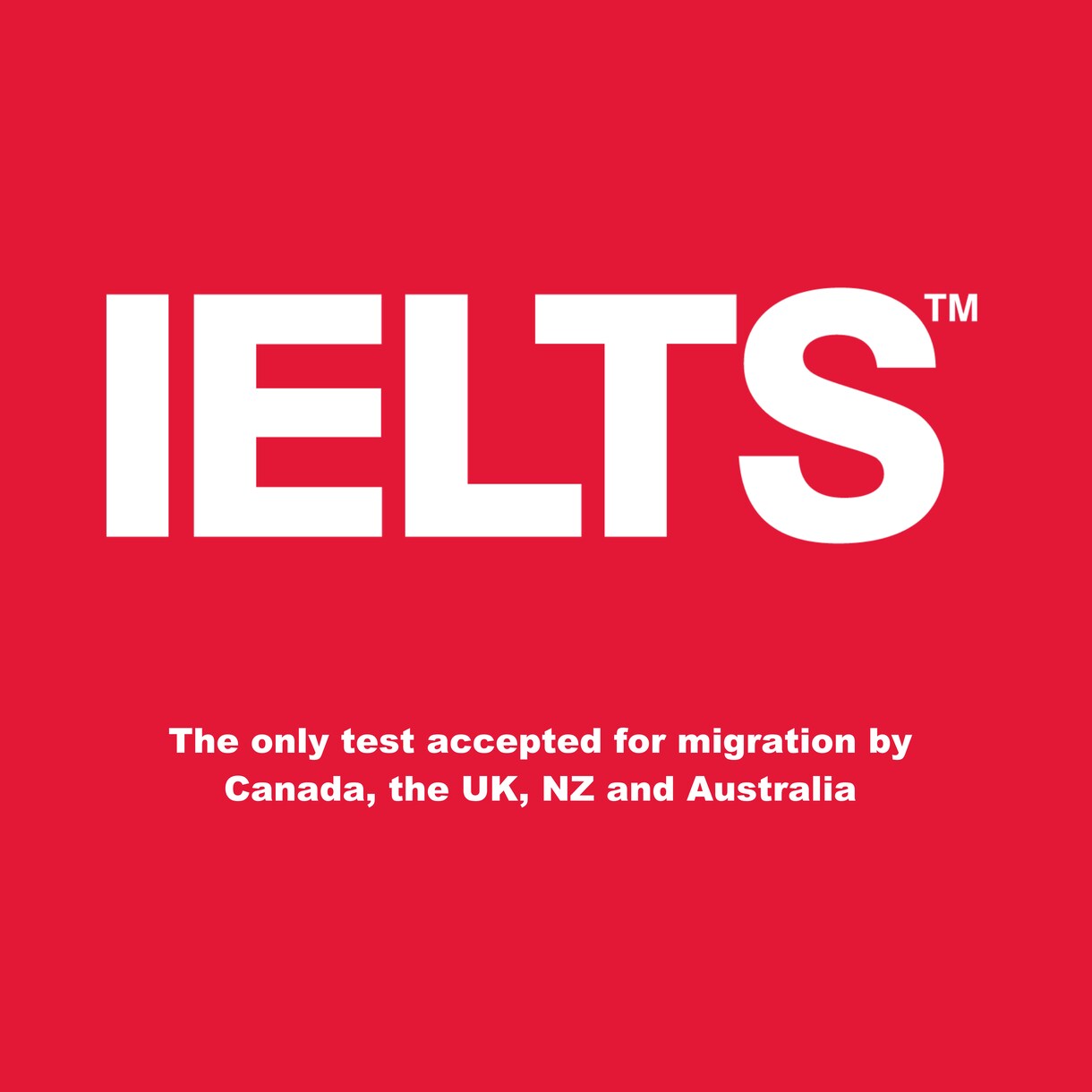 IELTS WRITING を添削します IELTS8 取得イギリス大学生がライティングを添削します！ イメージ1