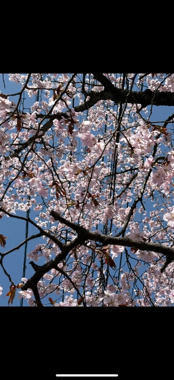 雰囲気のある風景写真素材を提供します SNSやWebに使いやすい写真素材です イメージ5