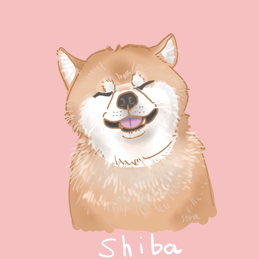 写真を元にペットイラスト作成します みなさまのお家のかわいいペットの記念になるお手伝いいたします イメージ2