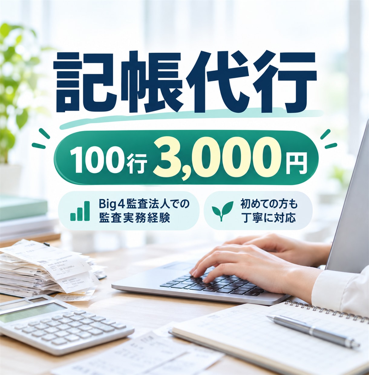 100行まで3000円で記帳代行します Big4監査法人での監査実務経験を記帳に活かします イメージ1
