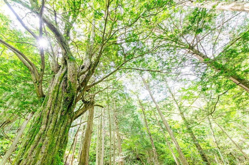 もしものことがあったら？不安な気持ち受け止めます 自分にもしものことがあった時の不安、話してください イメージ1