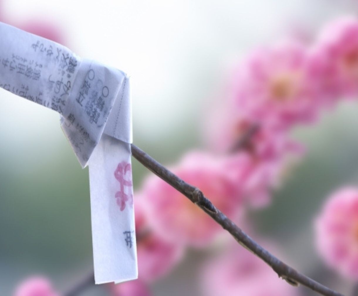 強制復縁・強制ご縁戻しのご祈祷をします 強制復縁・強制ご縁戻し術 –もう一度、あの人と繋がるために イメージ9