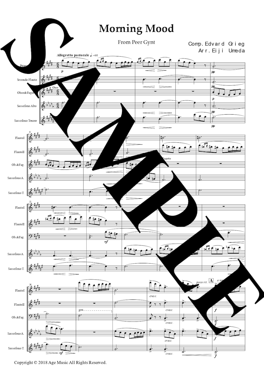 クラシック作品の編曲承ります 吹奏楽・アンサンブルなどへの編曲 イメージ2