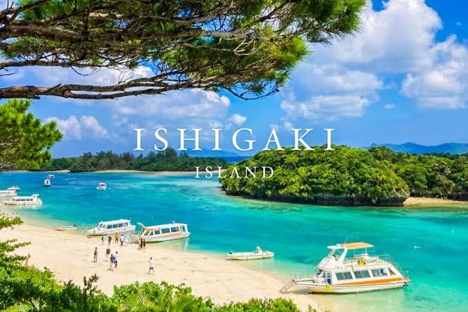 石垣島旅行を一緒に考えます 「石垣島旅行、現地マリンスタッフ目線でプランを一緒に考えます イメージ2