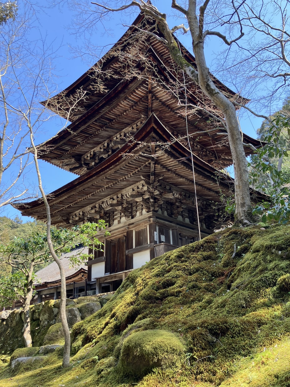 電話占い。霊感霊視・未来透視でお答えいたします 生まれつきの霊感霊視で視えたままのメッセージをお伝えします。 イメージ7