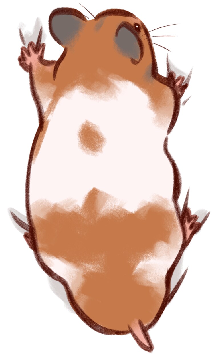 かわいいハムスターのイラスト描きます 温かみのあるハムスターイラスト イメージ4